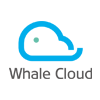 Operations Manager, Whale Cloud Technology